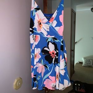 Express skater dress